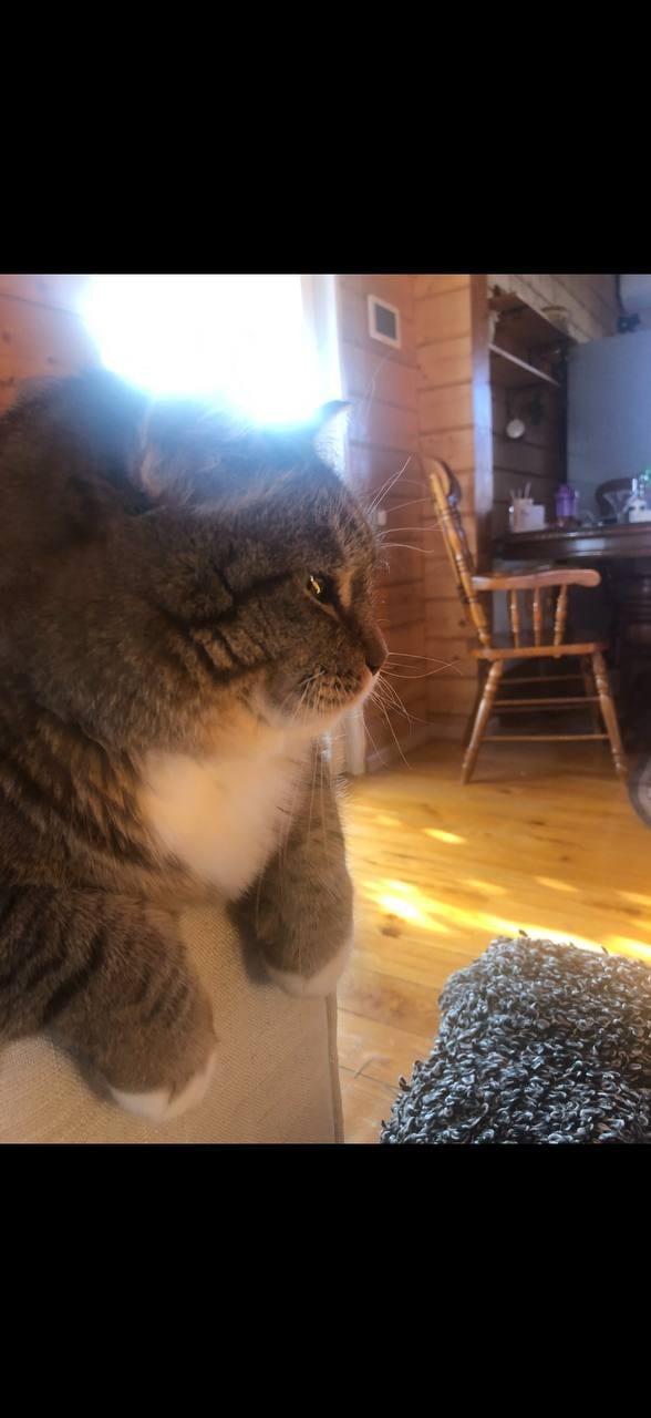 Общий вид офисного помещения с рабочими столами и сотрудниками