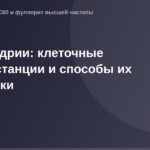 Митохондрии как клеточные электростанции: подробное изображение внутренней структуры и работа mitochondrir.