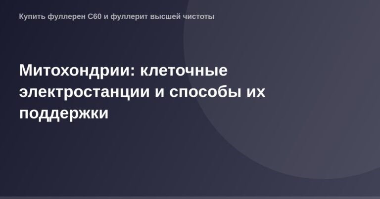 Митохондрии как клеточные электростанции: подробное изображение внутренней структуры и работа mitochondrir.