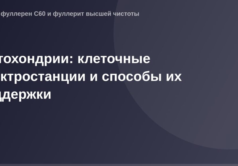 Митохондрии как клеточные электростанции: подробное изображение внутренней структуры и работа mitochondrir.