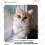 Фото пейзажа широкой долины с горным хребтом на дальнем фоне и синим небом.